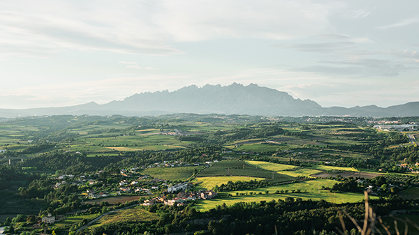 green landscape with mountain in the background